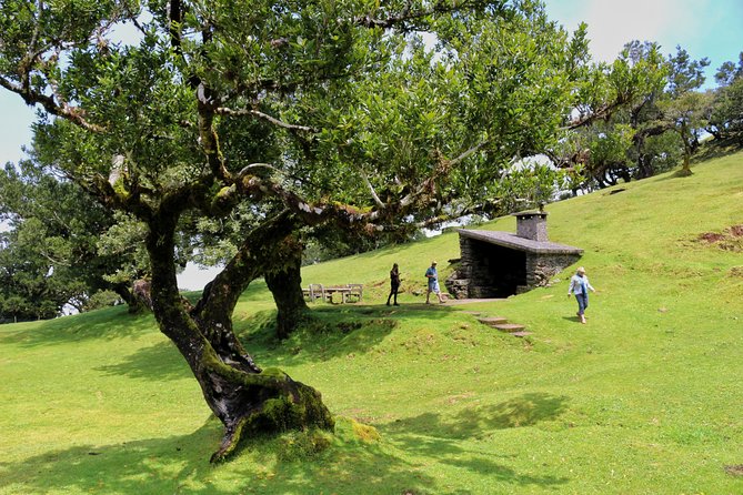Full Day Private 4x4 Tour in West Madeira With Local Guide - Customizable Itinerary