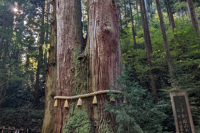 Full-Day Private Adventure in Ibaraki and Fukuroda Waterfalls - Inclusions and Restrictions