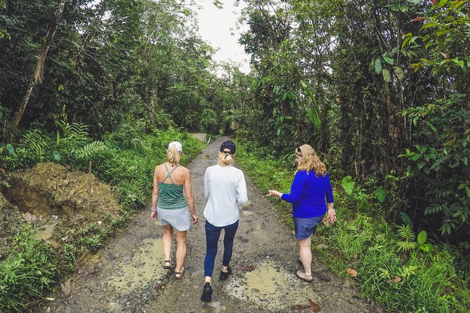 Full Day Private Adventure Tour to San Cipriano - Transportation and Pickup