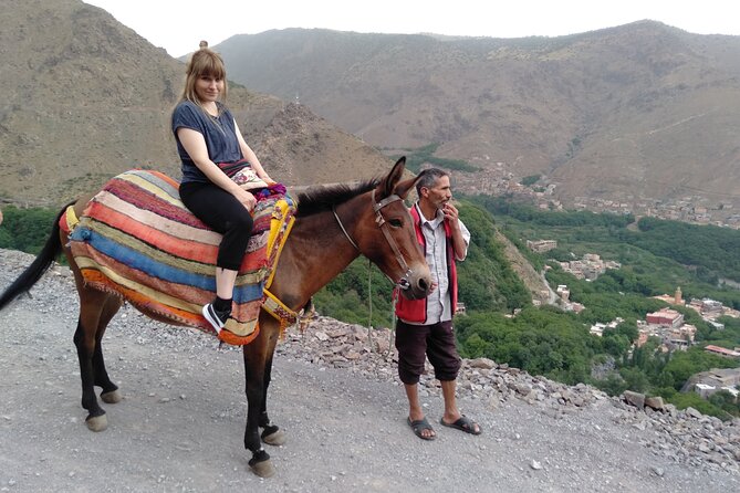 Full-Day Private Atlas Mountains and Agafay Desert Tour - Inclusions