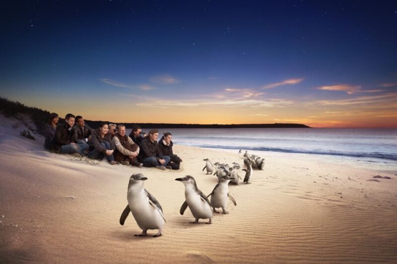 Full-Day Private Australian Wildlife Tour of Phillip Island - Exploring Rugged Shoreline and Landscapes