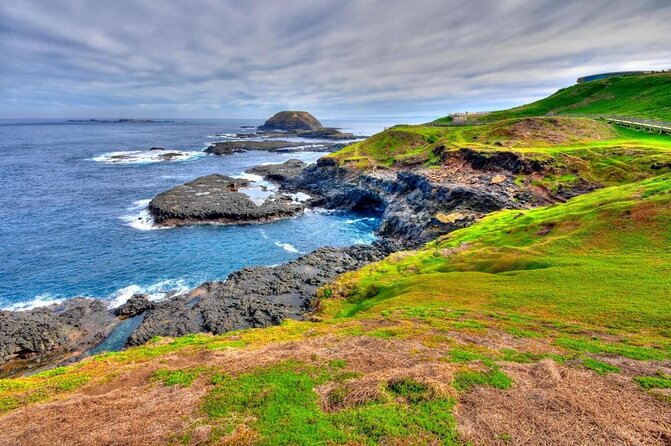 Full-Day Private Australian Wildlife Tour of Phillip Island - Pickup and Drop-off