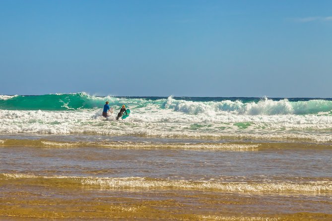 Full-Day Private Australian Wildlife Tour of Phillip Island - Accessibility and Participation