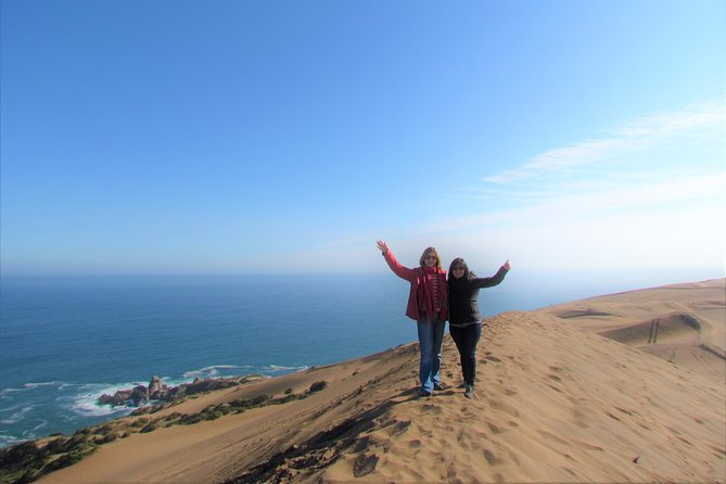 Full-Day Private Bike Tour of Concon Viña Del Mar and Valparaiso From Santiago - Tour Overview