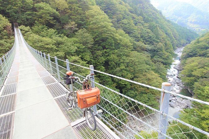 Full-Day Private Bike Tour of Oku-Iya - Key Points