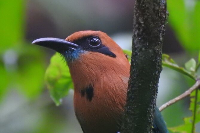 Full Day Private Bird and Nature Sightseeing Tour in Pipe Line - Transportation and Meeting Points