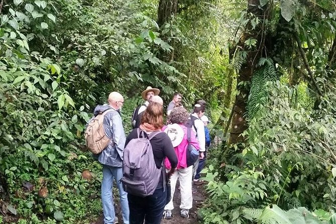 Full-Day Private Birding Tour in La Paz Refuge & Alambi Hummingbird Sanctuary - Key Points