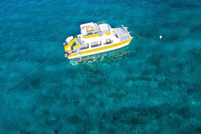 Full Day Private Boat Charter at Grace Bay, Providenciales - Booking Confirmation and Policies