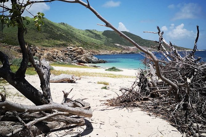 Full-Day Private Boat Charter Caribbean Adventure - Cancellation Policy and Reviews