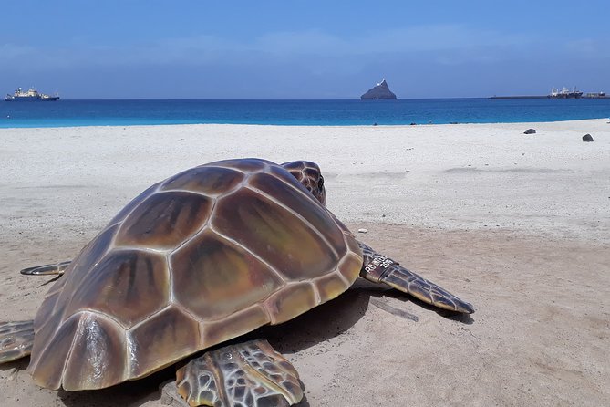 Full-Day Private Boat Charter Caribbean Adventure - Snorkeling in Turquoise Waters