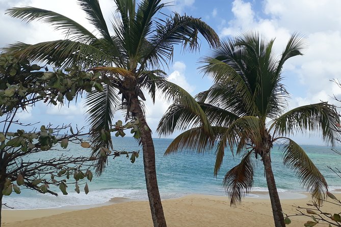 Full-Day Private Boat Charter Caribbean Adventure - Relaxation and Rejuvenation