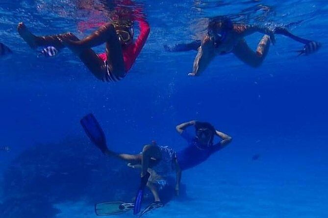 Full-Day Private Boat Tour of Bora Bora Lagoon with Snorkel - An In-Depth Look at the Bora Bora Lagoon Private Tour