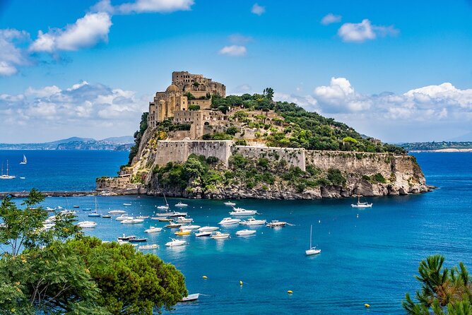 Full-Day Private Boat Tour to Ischia Procida From Sorrento - Accessibility