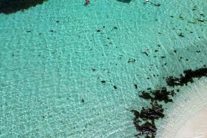 Full Day Private Boat Tour to the Lagoon of Guadeloupe - The Sum Up