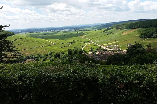 Full-Day Private Burgundy Wine Route Tour From Beaune - Tour Details