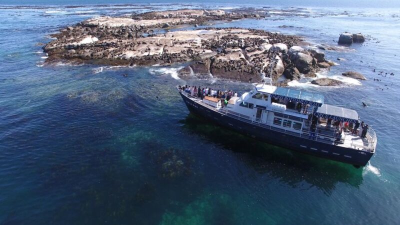 Full Day Private Cape Peninsula and Boulders Beach Tour - Key Points