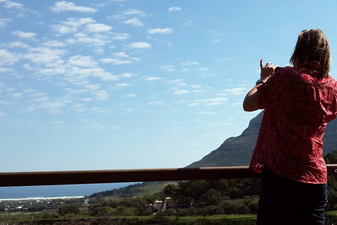 Full-Day Private Cape Peninsula Tour - Included Amenities
