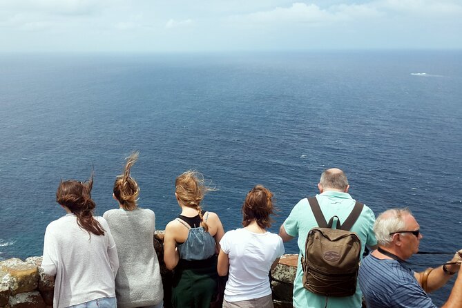 Full-Day Private Cape Peninsula Tour - Pickup and Transport