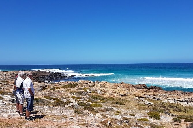 Full-Day Private Cape Peninsula Tour - Explore Cape Peninsula