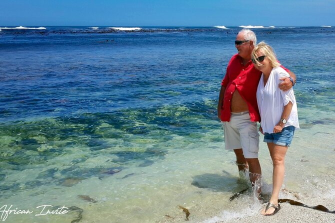 Full-Day Private Cape Peninsula Tour - Customized Experience