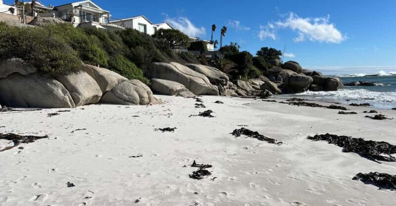 Full-Day Private Cape Town's Most Beautiful Beaches Tour - Key Points