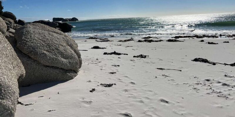 Full-Day Private Cape Town's Most Beautiful Beaches Tour - Inclusions