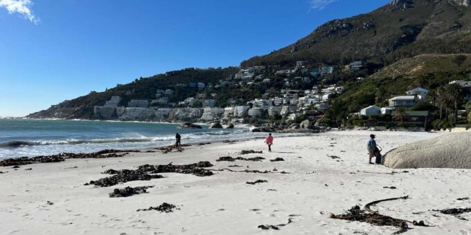 Full-Day Private Cape Town's Most Beautiful Beaches Tour - Cancellation Policy
