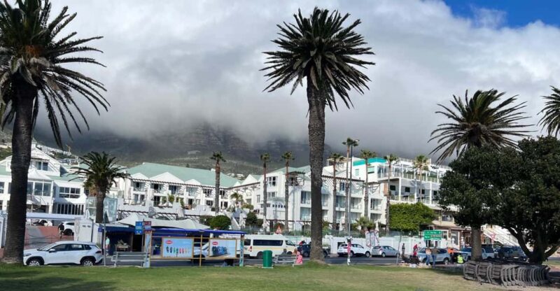 Full-Day Private Cape Town's Most Beautiful Beaches Tour - Key Points