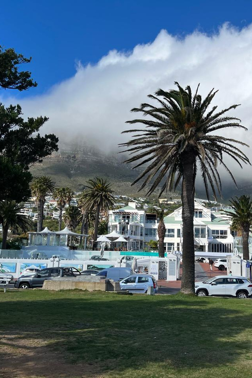 Full-Day Private Cape Town's Most Beautiful Beaches Tour - Cancellation Policy and Language