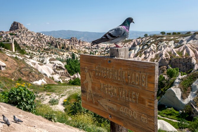 Full Day Private Cappadocia Tour (Guide & Driver) - Reviews