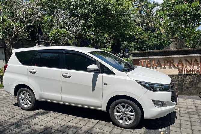 Full Day Private Car Tour With Driver as Guide in Ubud - Tour Overview