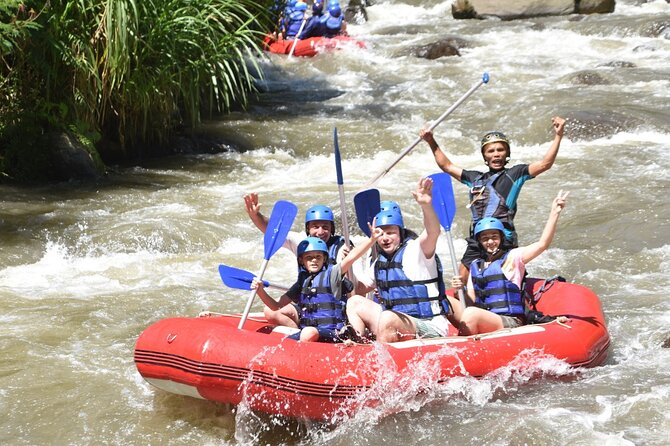 Full Day Private Car Tour With Driver as Guide in Ubud - Inclusions