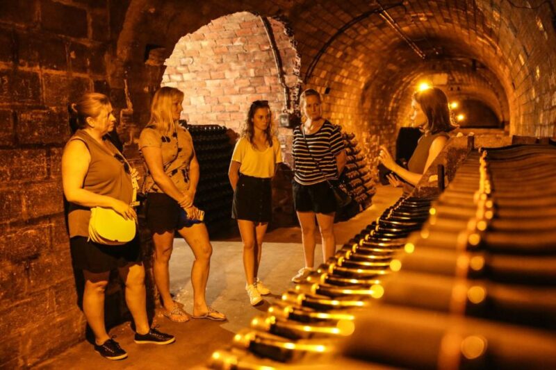 Full Day Private Champagne Tour From Reims - Itinerary Highlights