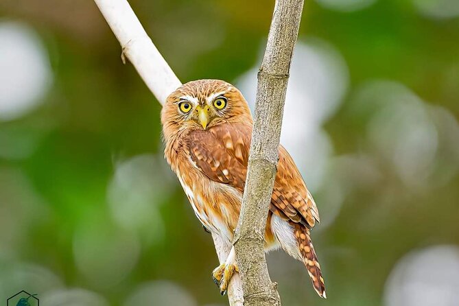 Full Day Private Churute Mangroves Reserve and Cocoa Farm Tour - Pickup and Scheduling Details