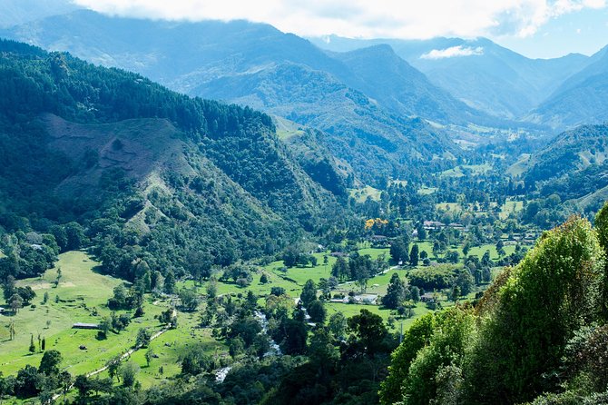 Full-Day Private Coffee Tour in Cocora Valley and Salento - Itinerary and Activities