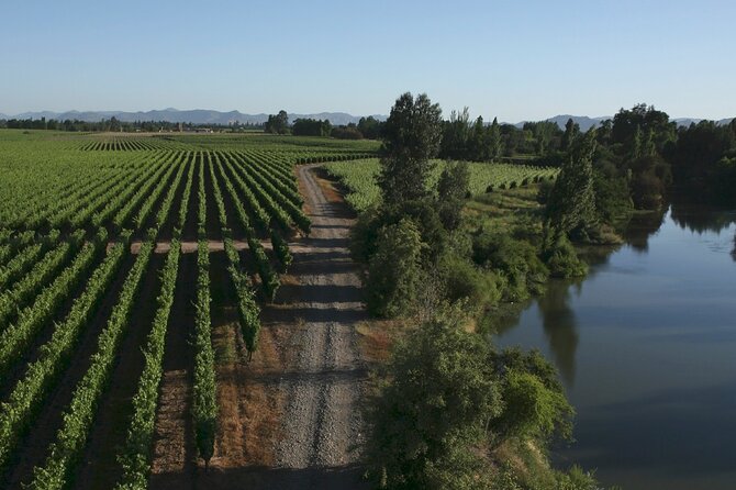 Full Day Private Colchagua Wine Tour From Santiago - Neyen Winery: Exploring Apalta Valley