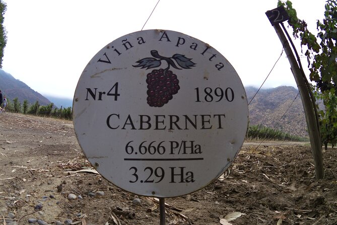Full Day Private Colchagua Wine Tour From Santiago - Customer Testimonials and Recommendations
