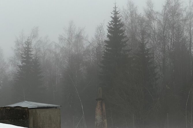 Full-Day Private Cold War Museum Tour From Vilnius - Accessibility and Participation