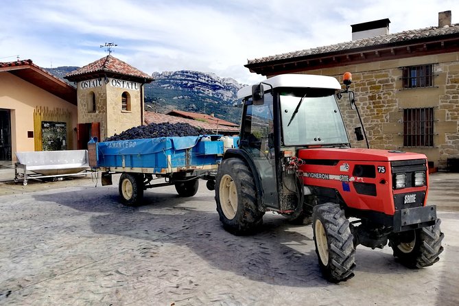 Full-Day Private Cultural and Gastronomic Adventure in Rioja - Dietary Requirements