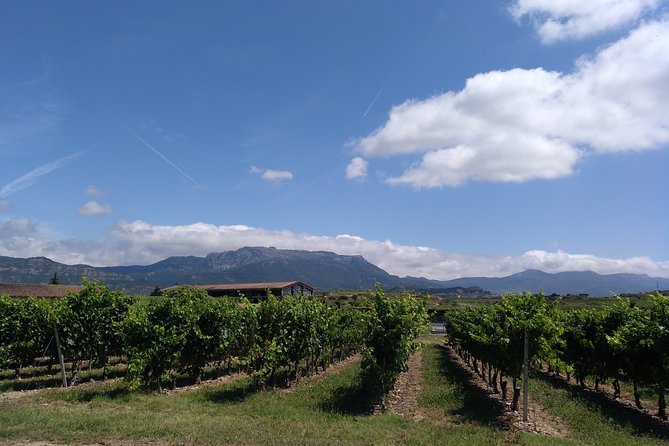 Full-Day Private Cultural and Gastronomic Adventure in Rioja - Highlights of the Tour