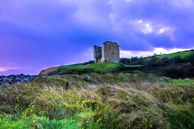 Full Day Private Cultural Tour in Dingle Peninsula - Personalized Experience