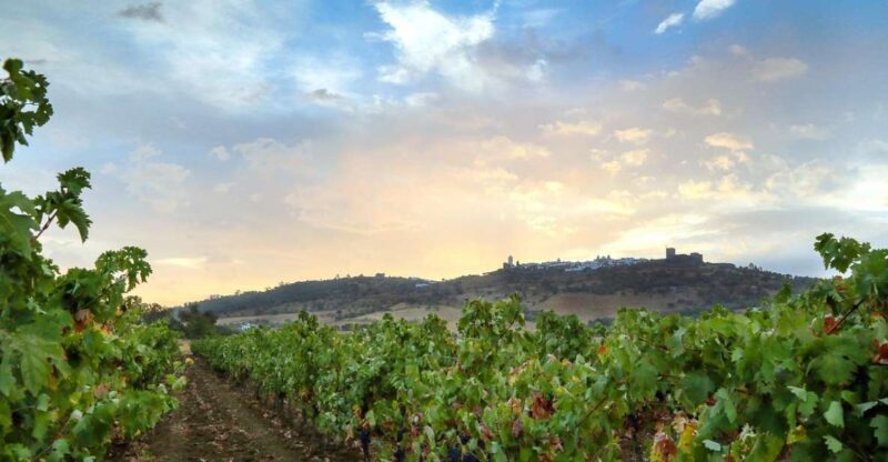 Full-Day Private Cultural Tour in Evora and Monsaraz - Exploring Monsaraz