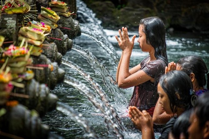 Full-day Private Cultural Tour of Ubud in Bali - Inclusions