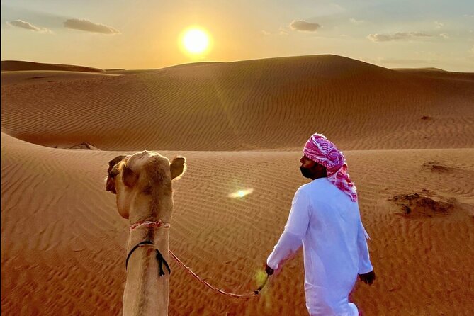 Full Day Private Desert Adventure - Tour Overview