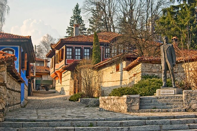 Full Day Private Eco Tour in Koprivshtitsa From Sofia - About ElectrEco Tours