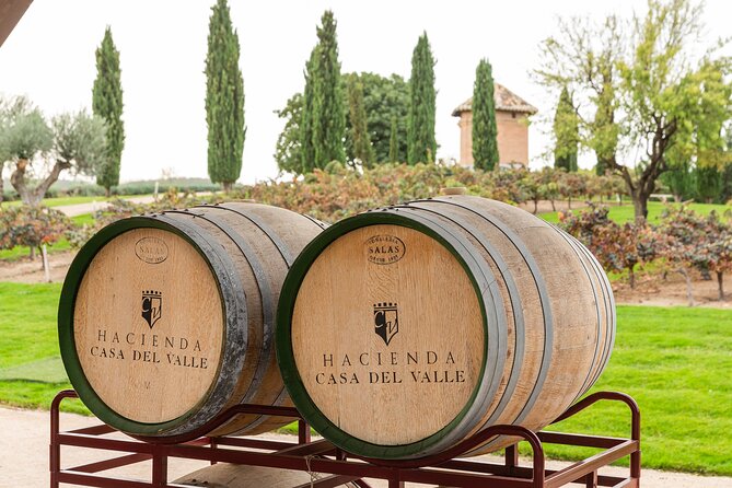 Full Day Private Excursion to Toledo With a Premium Winery Visit - Pickup Information