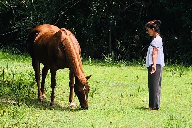 Full-Day Private Experience Wellness Program in Palm Beach - Key Points