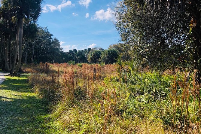 Full-Day Private Experience Wellness Program in Palm Beach - Outdoor Therapeutic Benefits