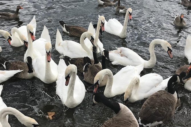 Full-Day Private Fun Cultural Guided Tour of London for Kids - Memorable Experiences and Takeaways