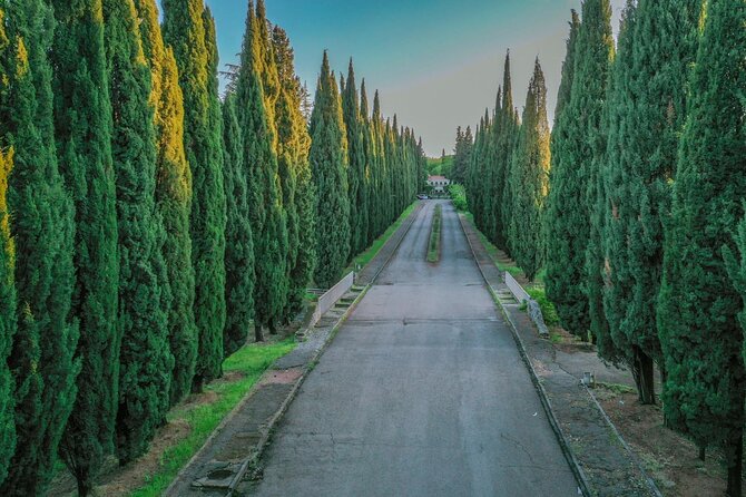 Full-Day Private Georgia Tour With Pick up From Tbilisi - Wine Tasting Experience